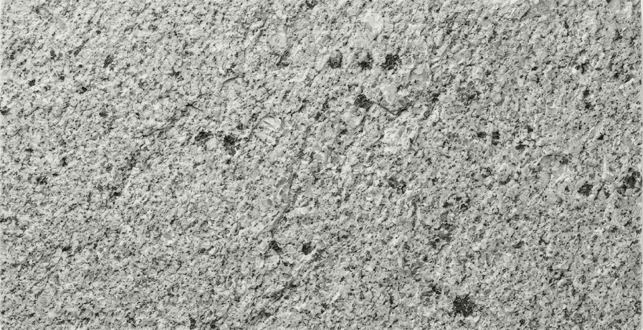 Alvand Silver Granite Paver